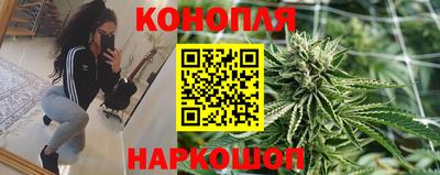 индика Кулебаки
