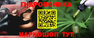 индика Кулебаки