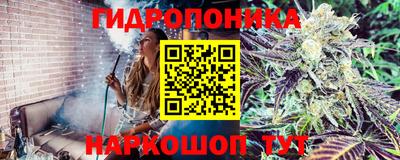 индика Кулебаки