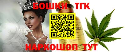 индика Кулебаки