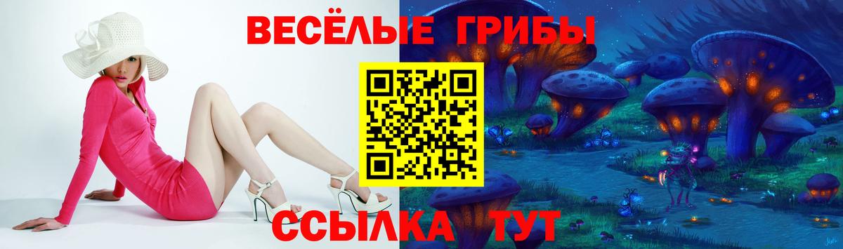 Галлюциногенные грибы Psilocybine cubensis  Вход с VPN  Кизляр 